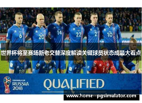 世界杯将至赛场新老交替深度解读关键球员状态成最大看点