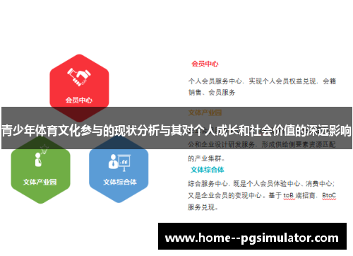 青少年体育文化参与的现状分析与其对个人成长和社会价值的深远影响