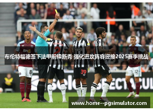 布伦特福德签下法甲前锋新秀 强化进攻阵容迎接2025赛季挑战